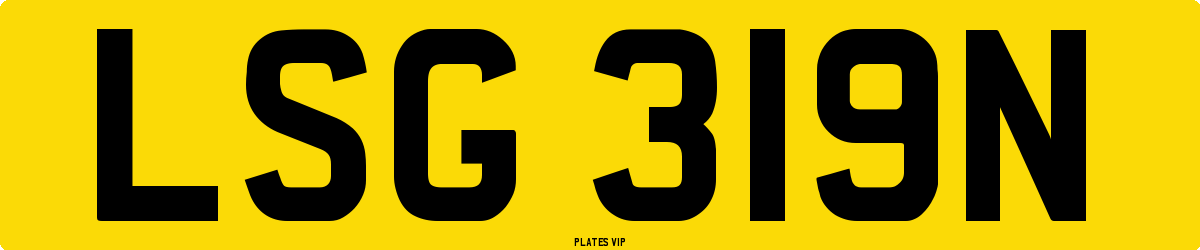 LSG 319N Number Plate