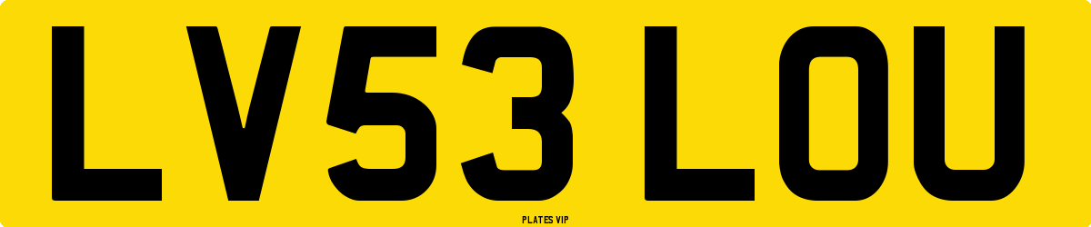 LV53 LOU Number Plate