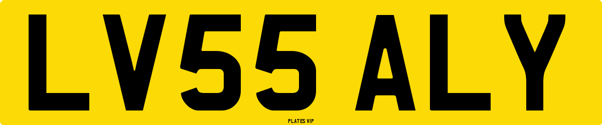 LV55 ALY Number Plate