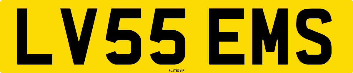 LV55 EMS Number Plate