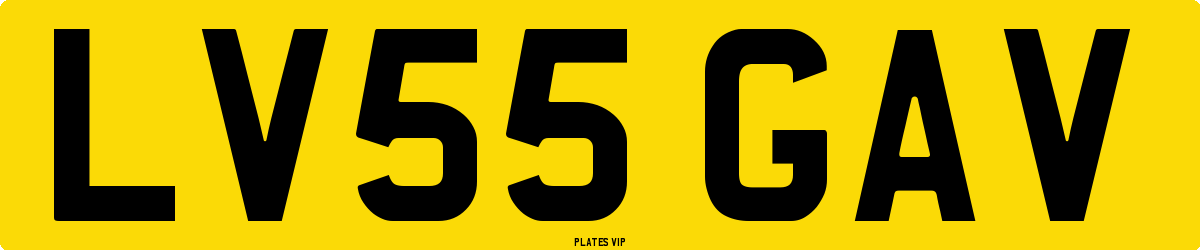 LV55 GAV Number Plate
