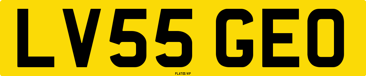 LV55 GEO Number Plate