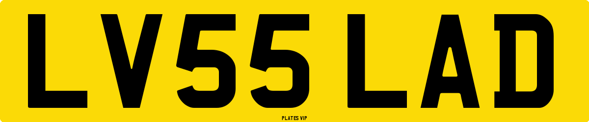 LV55 LAD Number Plate