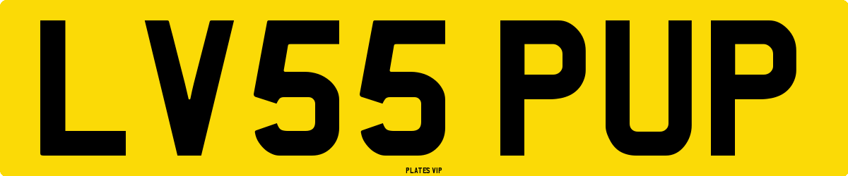 LV55 PUP Number Plate