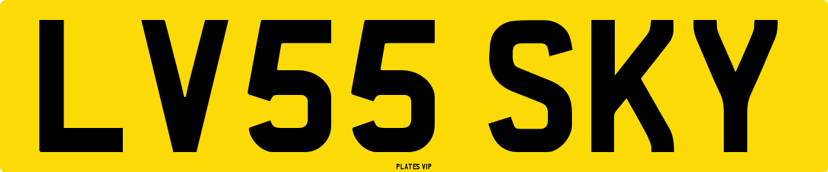 LV55 SKY Number Plate