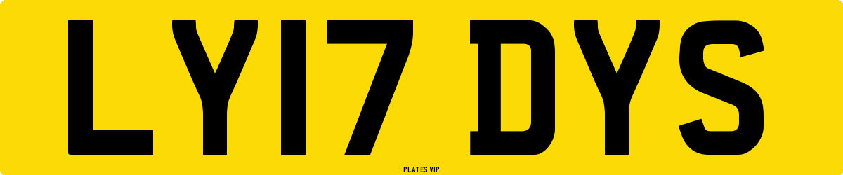 LY17 DYS Number Plate