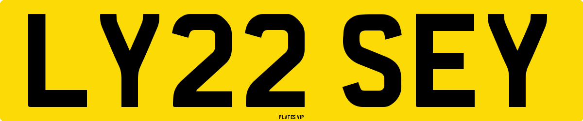 LY22 SEY Number Plate