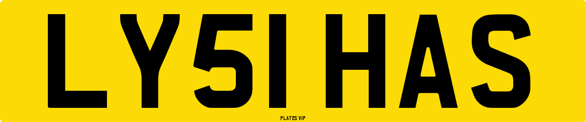 LY51 HAS Number Plate