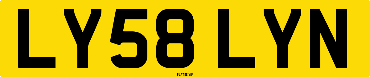 LY58 LYN Number Plate