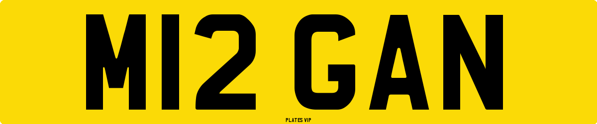 M12 GAN Number Plate
