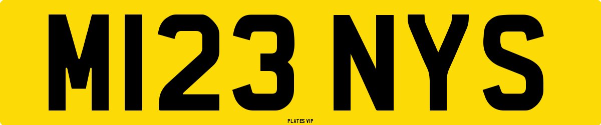 M123 NYS Number Plate