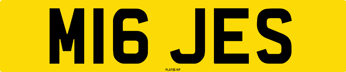 M16 JES Number Plate