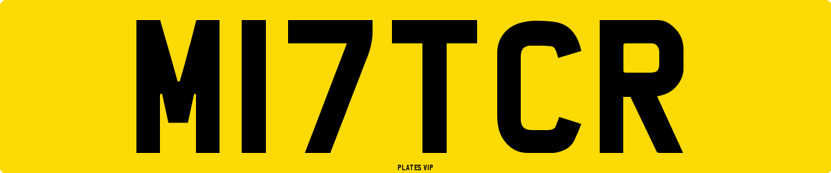M17TCR Number Plate