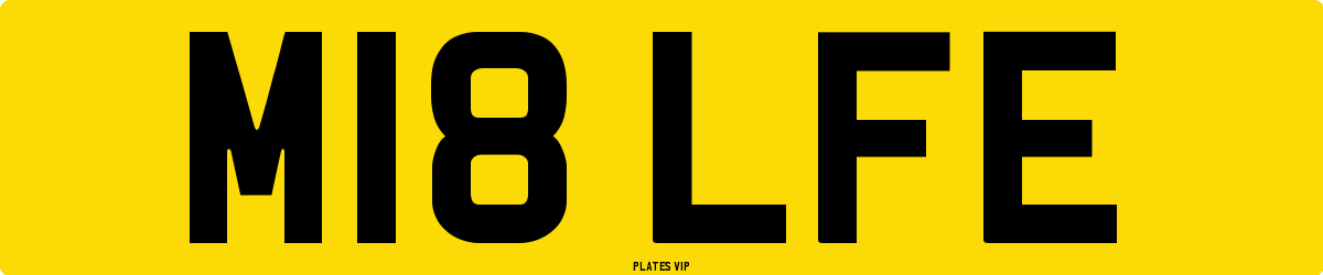 M18 LFE Number Plate
