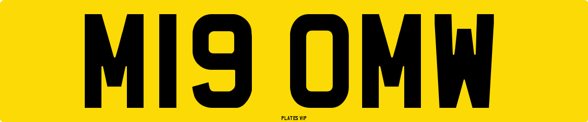 M19 OMW Number Plate