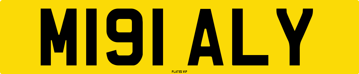 M191 ALY Number Plate