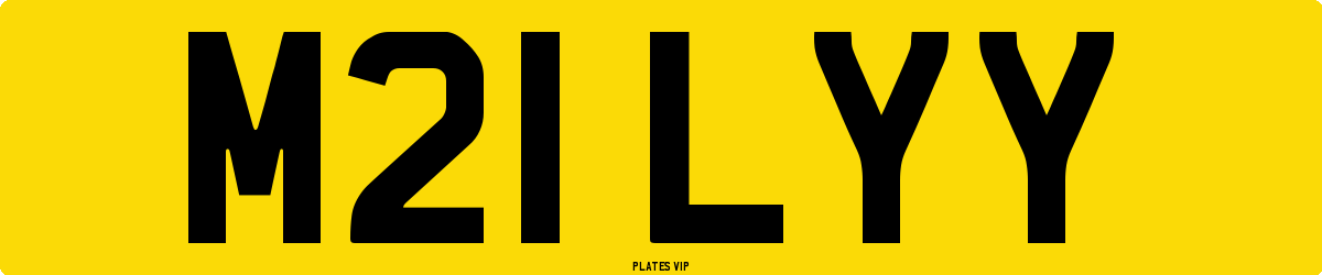 M21 LYY Number Plate