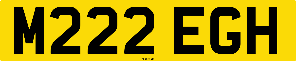 M222 EGH Number Plate