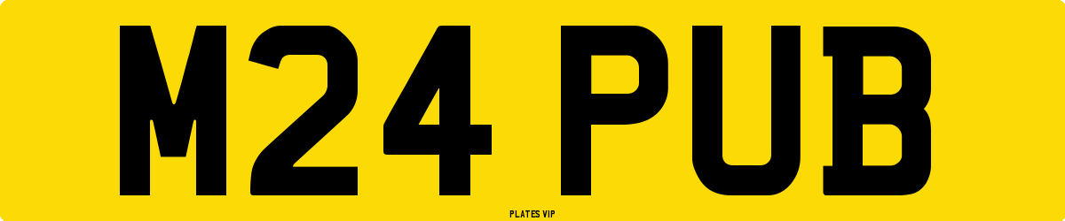 M24 PUB Number Plate