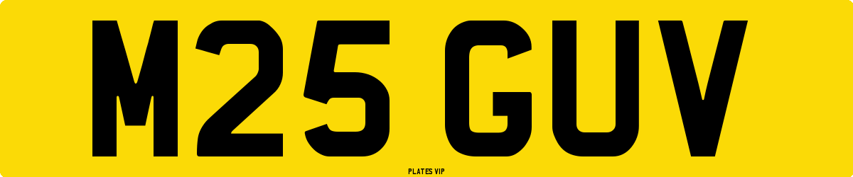 M25 GUV Number Plate