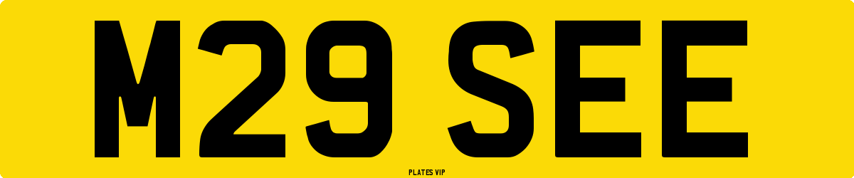 M29 SEE Number Plate