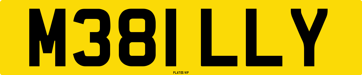 M381 LLY Number Plate