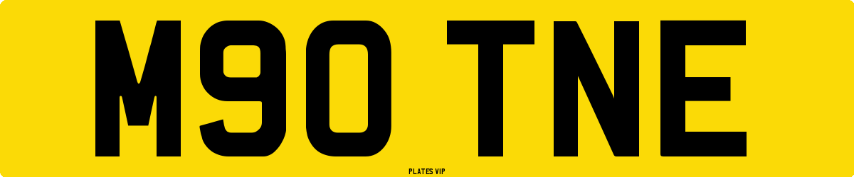 M90 TNE Number Plate