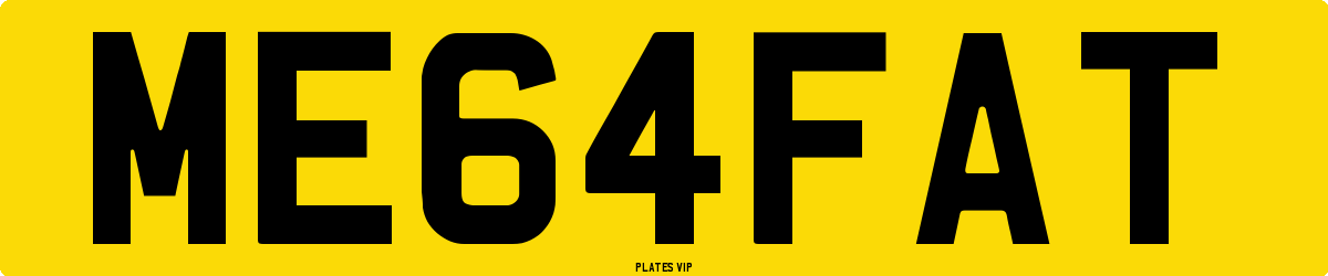 ME64FAT Number Plate