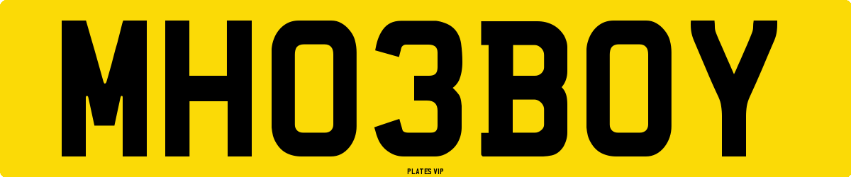 MH 03 BOY Number Plate