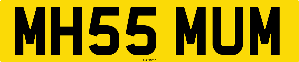 MH55 MUM Number Plate