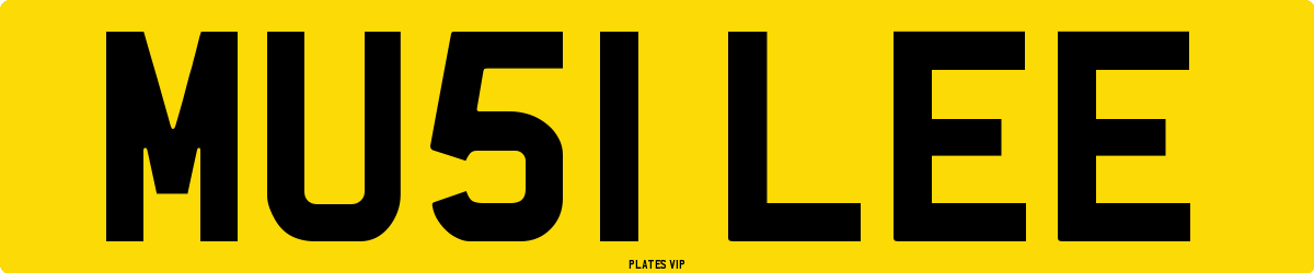 MU51 LEE Number Plate
