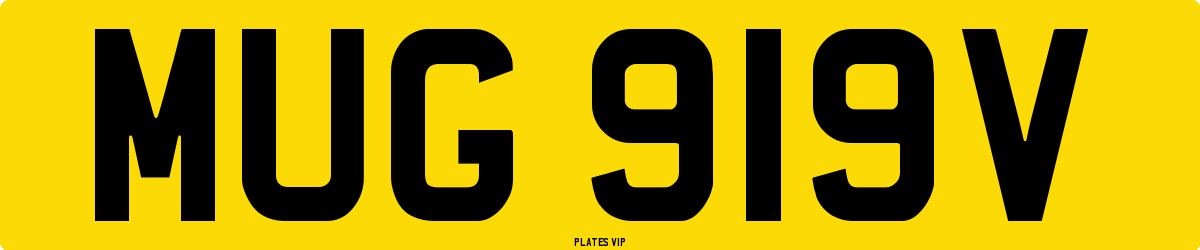 MUG 919V Number Plate