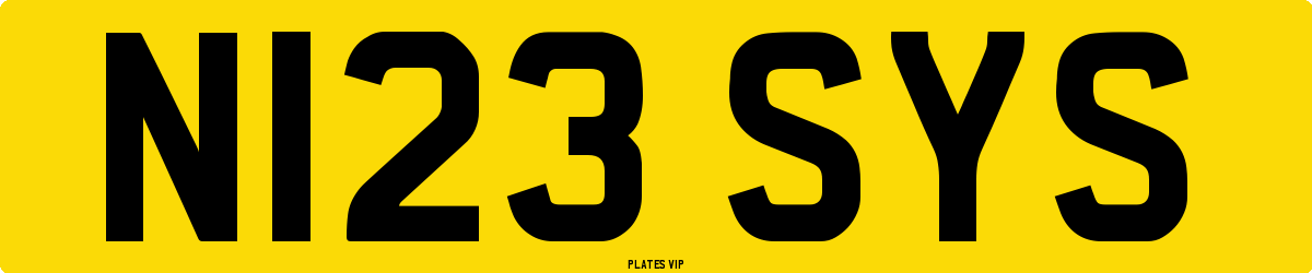 N123 SYS Number Plate