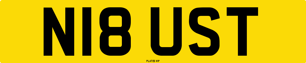 N18 UST Number Plate