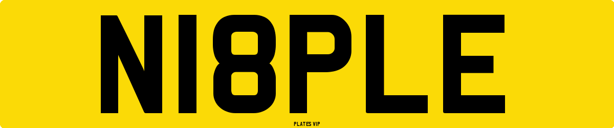 N18PLE Number Plate