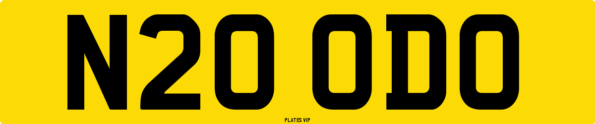 N20 ODO Number Plate