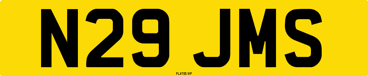 N29 JMS Number Plate