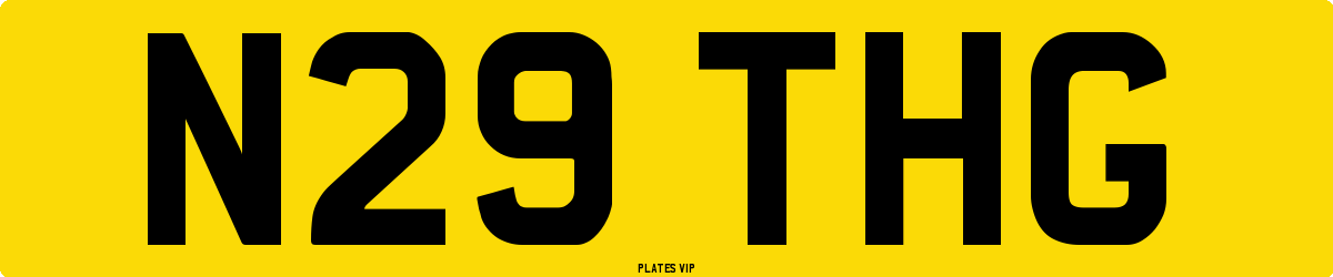 N29 THG Number Plate