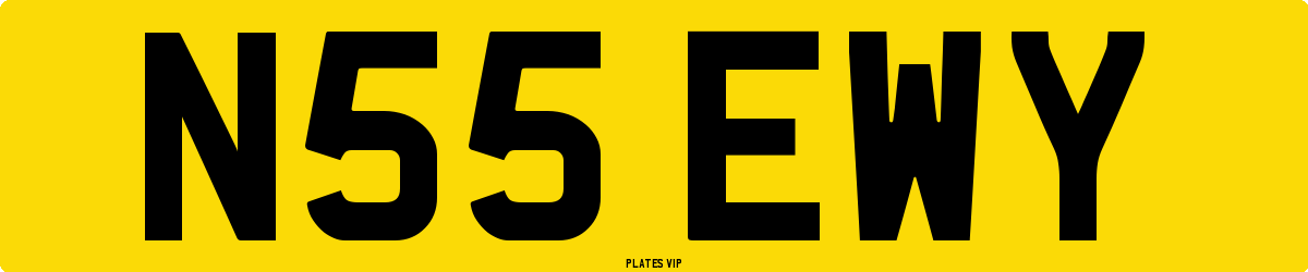 N55 EWY Number Plate