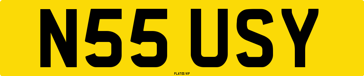 N55 USY Number Plate