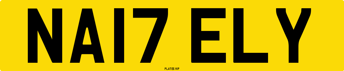 NA17 ELY Number Plate