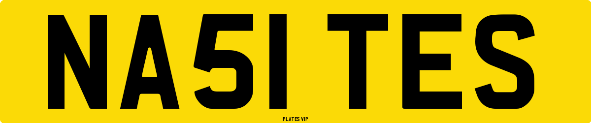 NA51 TES Number Plate