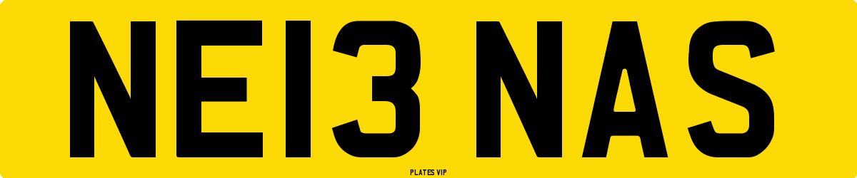NE13 NAS Number Plate