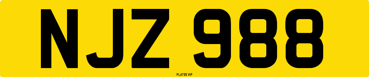 NJZ 988 Number Plate
