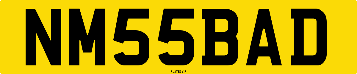 NM 55 BAD Number Plate