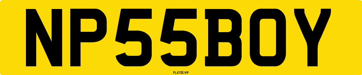 NP 55 BOY Number Plate