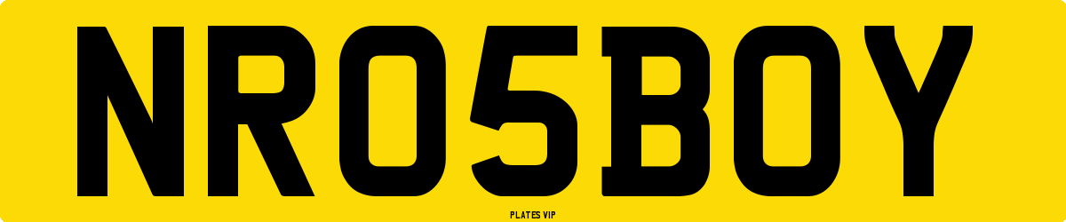 NR 05 BOY Number Plate