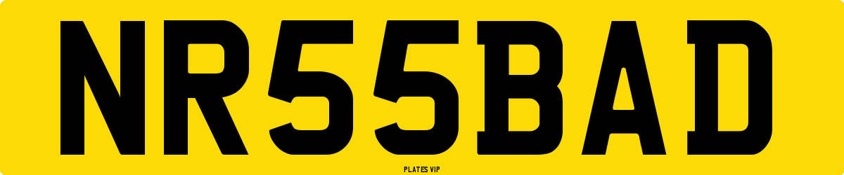 NR 55 BAD Number Plate