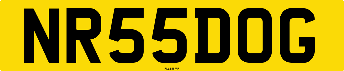 NR 55 DOG Number Plate
