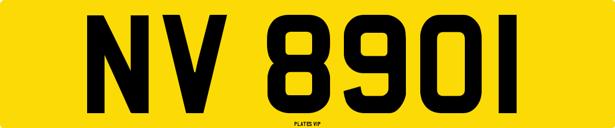 NV 8901 Number Plate